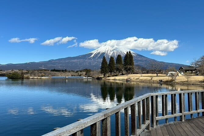 Mt.Fuji area Tour from Shimizu Port /Small Bus - Transportation and Group Size