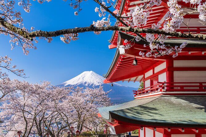 Mt. Fuji Area Tour Tokyo DEP: English Speaking Driver, No Guide - Who Is This Tour Best For?