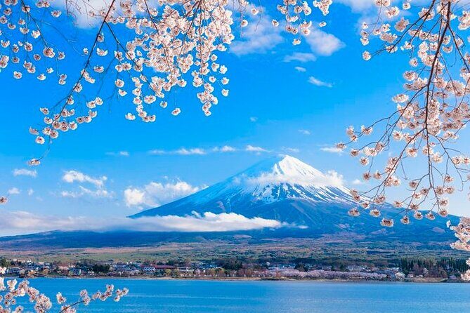 Mt. Fuji Area Tour Tokyo DEP: English Speaking Driver, No Guide - The Sum Up