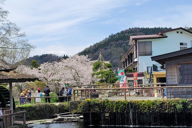 Mt Fuji Day Tour by Car With English Speaking Chauffeurs - Exploring the Itinerary in Detail