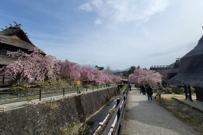 Mt Fuji Day Tour by Car With English Speaking Chauffeurs - Who Is This Tour Best For?
