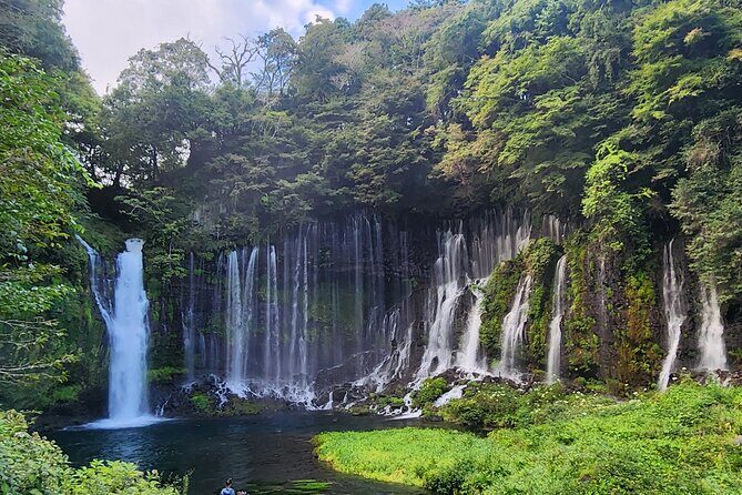 Mt Fuji Day Tour by Car With English Speaking Chauffeurs - Final Thoughts