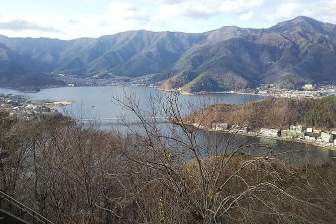 Mt. Fuji Day Tour by Private Minivan with Licensed Tour Guide and Driver - In-Depth Review