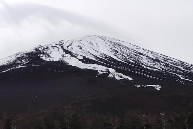 Mt. Fuji Day Tour by Private Minivan with Licensed Tour Guide and Driver - Note: Always check for seasonal availability and weather conditions before booking, and remember to bring cash for additional expenses like meals and entrance fees.