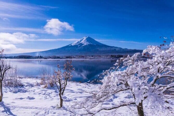 Mt. Fuji Day Tour from Shinjuku in Tokyo Japan - Who Is This Tour Best Suited For?