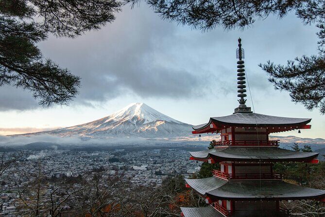 Mt FUJI Day Tour with Private Car and English Speaking Guide - Key Points