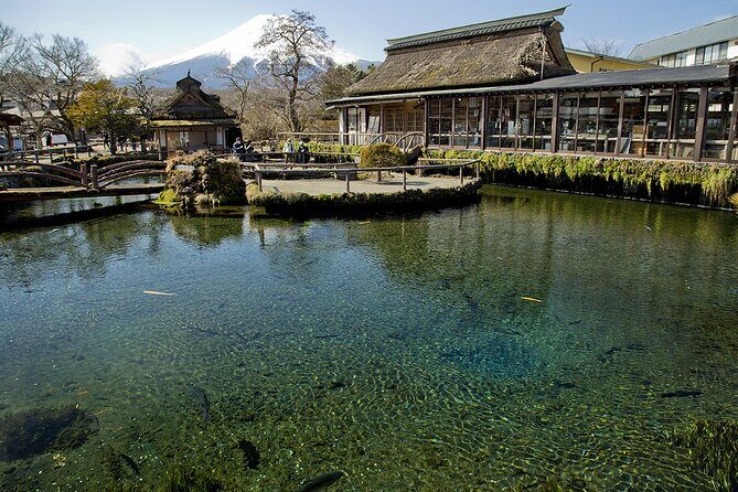 Mt FUJI Day Tour with Private Car and English Speaking Guide - The Value of This Tour
