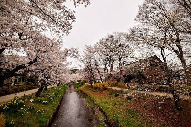 Mt Fuji day trip from Tokyo by car with photographer guide - Kitaguchi Hongu Fuji Sengen Shrine