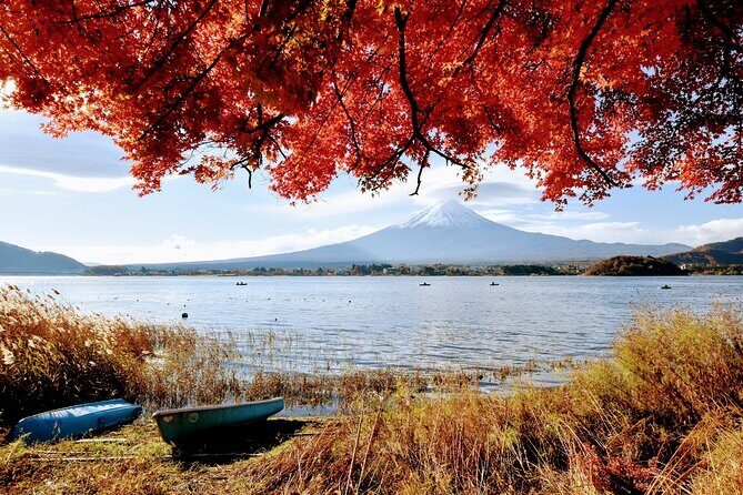 Mt Fuji day trip from Tokyo by car with photographer guide - How the Tour Works & Practical Details