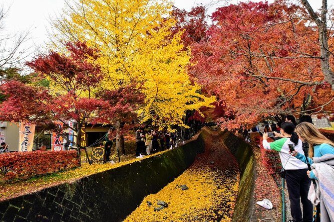 Mt Fuji day trip from Tokyo by car with photographer guide - Weather & Cancellation