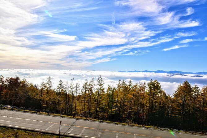 Mt Fuji day trip from Tokyo by car with photographer guide - Authentic Experiences & Real Traveler Insights