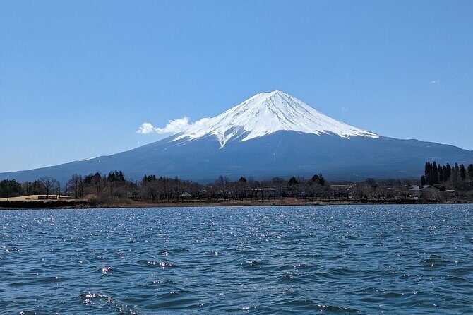 Mt. Fuji Day Trip from Tokyo with English Speaking Driver - The Experience: What to Expect from Each Stop
