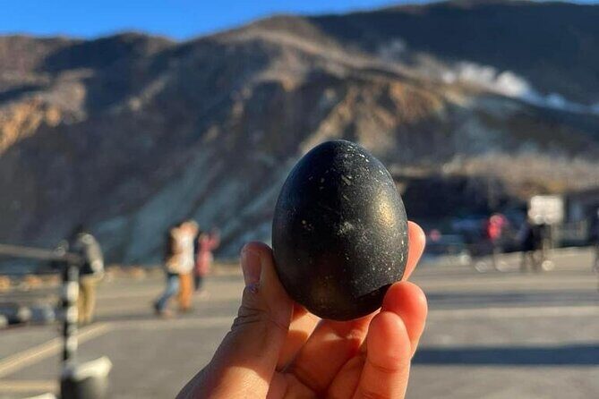 Mt. Fuji & Hakone Cherry Blossom private One Day Tour - Who Will Love This Tour?