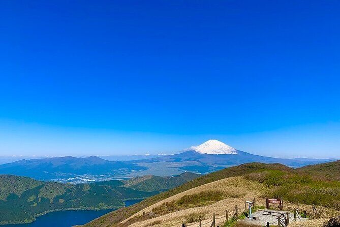 Mt Fuji & Hakone Cruise, Drum Show Bus 1 Day from Tokyo Sta. Area - FAQ