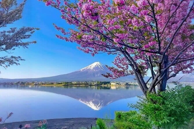 Mt fuji & Hakone customizable day tour w/ English speaking guide - Key Points