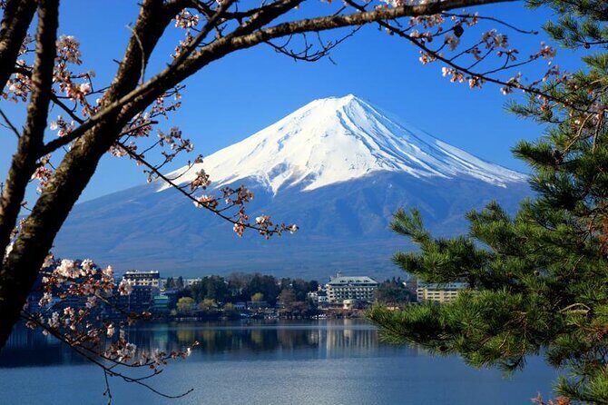 Mt. Fuji & Hakone: Fuji Sengen Shrine, Cruise, and Ramen-Making - Key Points