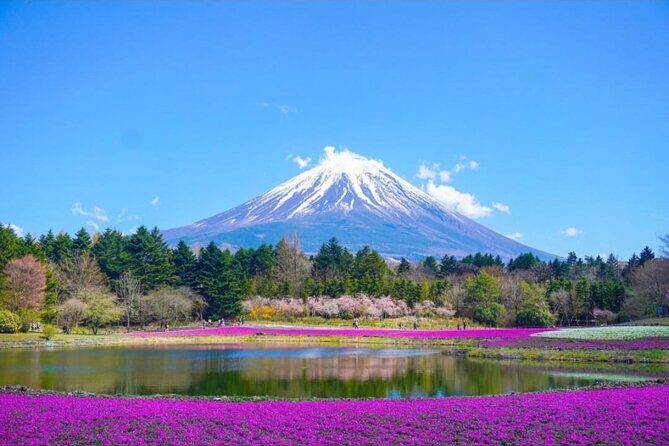 Mt. Fuji, Hakone Full-Day Private Tour with English Driver - Why This Tour Works for You