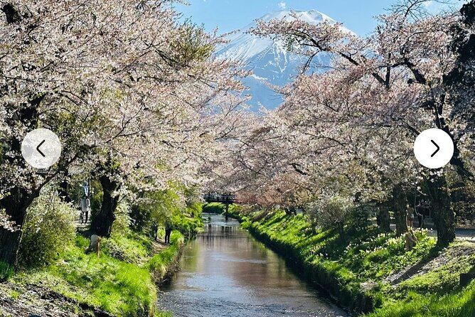 Mt. Fuji, Hakone Full-Day Private Tour with English Driver Guide - Stop 1: Mt. Fuji 5th Station — The Iconic Viewpoint