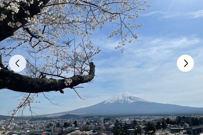 Mt. Fuji, Hakone Full-Day Private Tour with English Driver Guide - Stop 4: Oshino Hakkai — The Pristine Ponds