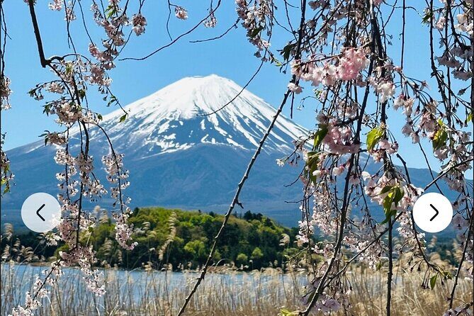 Mt. Fuji, Hakone Full-Day Private Tour with English Driver Guide - Stop 5: Owakudani — The Volcanic Valley