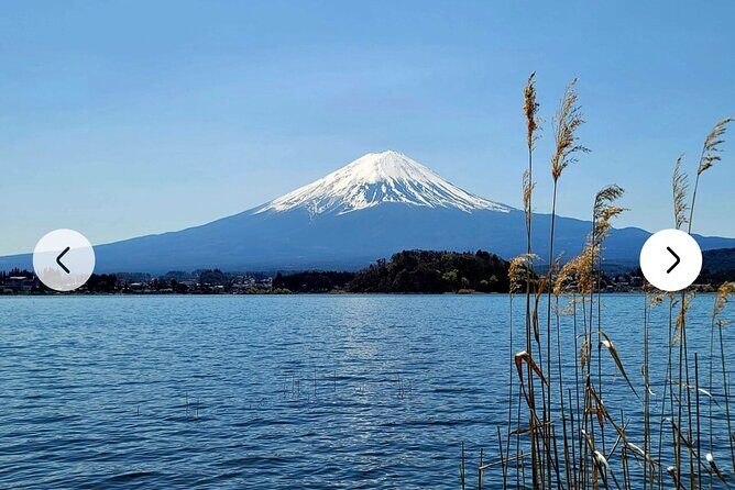 Mt. Fuji, Hakone Full-Day Private Tour with English Driver Guide - Stop 6: Lake Ashi & Hakone Shrine