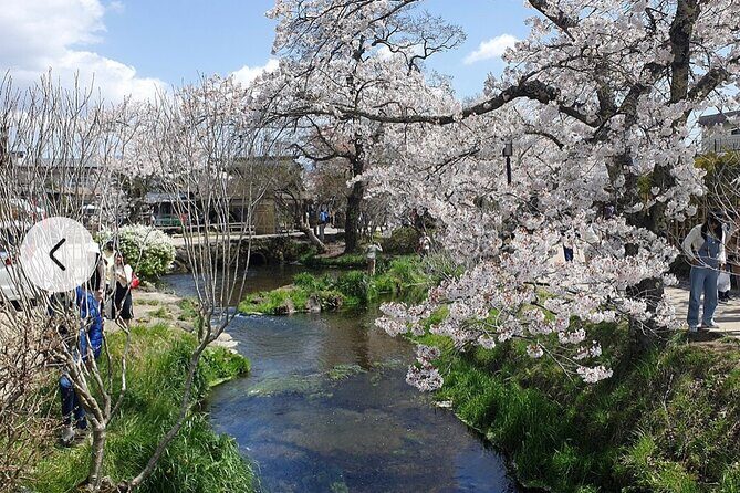 Mt. Fuji, Hakone Full-Day Private Tour with English Driver Guide - The Value & Experience: What You Should Know