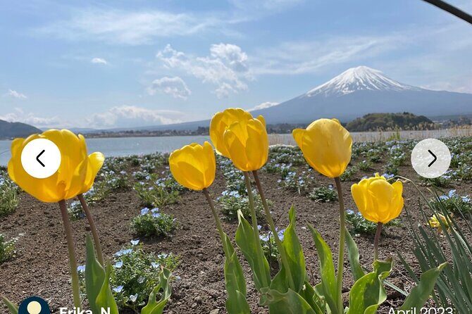 Mt. Fuji, Hakone Full-Day Private Tour with English Driver Guide - Who Should Book This Tour?