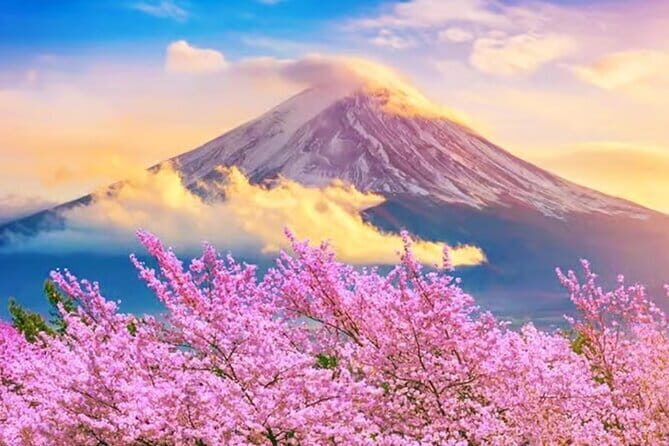 Mt. Fuji & Hakone Fully customizable Day Tour With English Driver - A Closer Look at the Itinerary and What You’ll Experience