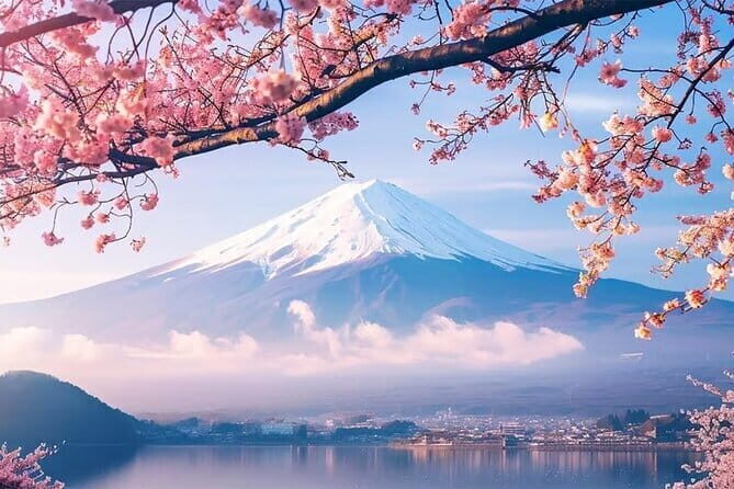 Mt. Fuji & Hakone Fully customizable Day Tour With English Driver - Practical Details and What to Expect
