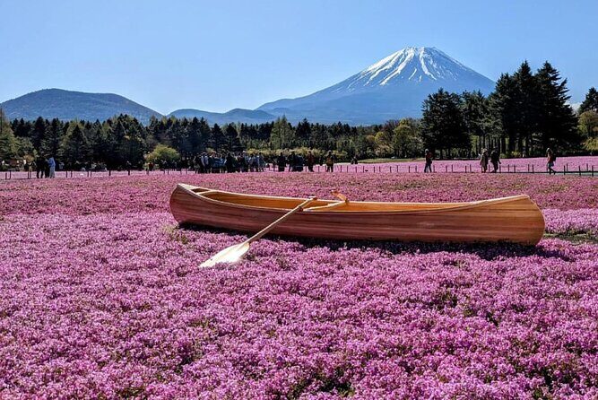Mt Fuji, Hakone Private Tour by Car with Pickup - FAQ