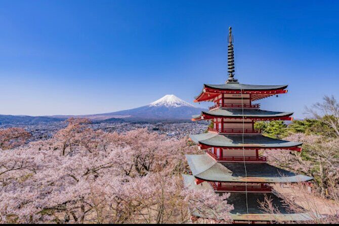 Mt.Fuji Hakone Private Tour with English Speaking Chauffeur - Stop 2: Lake Ashinoko