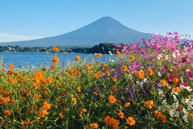 Mt.Fuji Hakone Private Tour with English Speaking Chauffeur - Price and Value