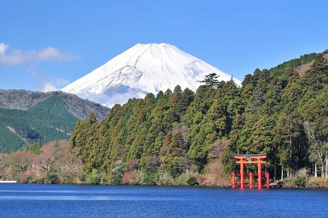 Mt. Fuji Hakone Ropeway and Oshino Hakkai Day Tour - Final Thoughts