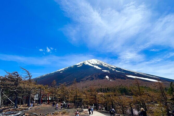 Mt. Fuji & Hakone Tour Tokyo hotel pick-up by Grayline - A Deep Dive into the Itinerary