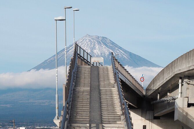 Mt. Fuji Highlight Photo Spots One Day Tour from Tokyo - Authentic Insights from Reviewers