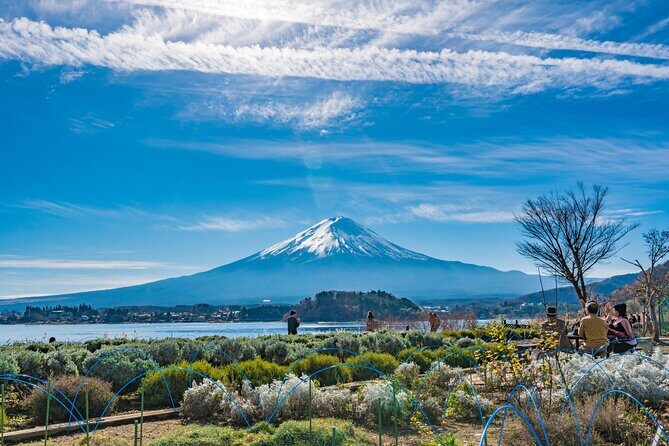 Mt. Fuji Highlight Photo Spots One Day Tour from Tokyo - Final Thoughts: Is This Tour Worth It?