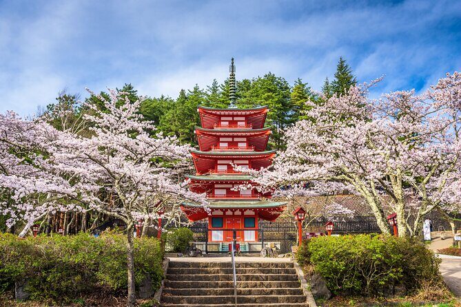 Mt. Fuji Highlight Photo Spots One Day Tour from Tokyo - Who Should Book This Tour?