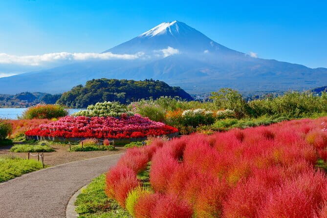Mt Fuji /Kawaguchi customize private charter car - Key Points