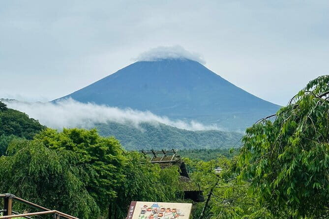 Mt. Fuji, Lake Kawaguchiko Attractive Private One Day Tour - Practical Details and Value