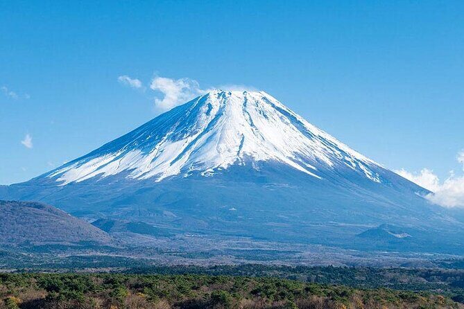Mt.Fuji, Oishi Park & Arakurayama Sengen Park Bus Tour From Tokyo - What Travelers Should Know About the Tour