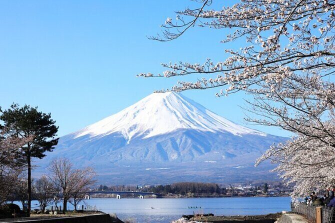 Mt. Fuji one day Private tour from tokyo with English guider - Practical Tips for Making the Most of Your Day