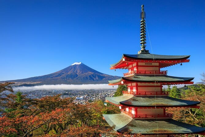 Mt. Fuji or Hakone Private Sightseeing Day Trip From Tokyo - Key Points