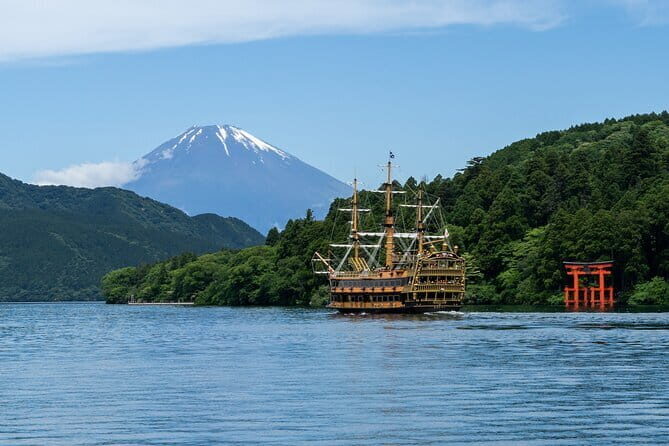 Mt. Fuji or Hakone Private Sightseeing Day Trip From Tokyo - In Short