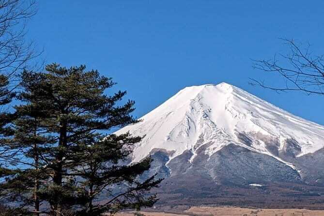 Mt. Fuji Private Car Tour from Tokyo - Transportation and Comfort