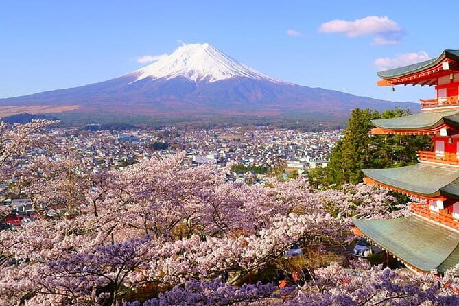 Mt. Fuji Private Car Tour from Tokyo - Authentic Insights from Reviews