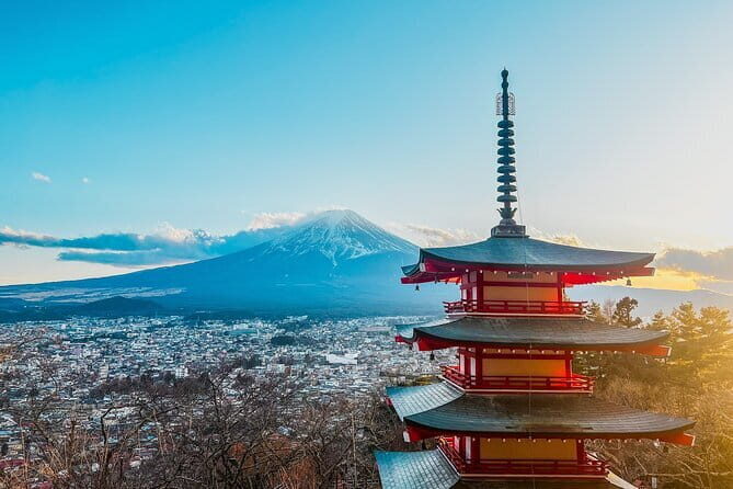 Mt. Fuji Private Car Tour from Tokyo - Practicalities and Considerations