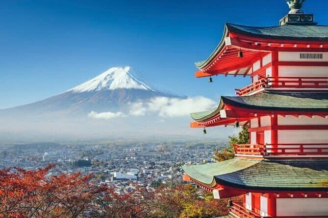 Mt. Fuji Private Car Tour from Tokyo - The Sum Up