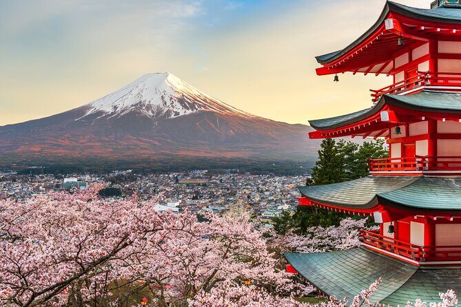Mt Fuji Private Day Trip from Tokyo with English speaking driver - Exploring the Mt. Fuji Private Day Trip from Tokyo: A Balanced Look