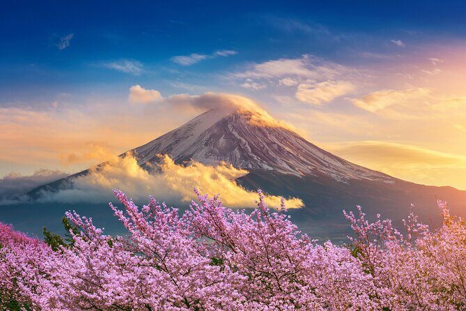 Mt Fuji Private Day Trip from Tokyo with English speaking driver - FAQ