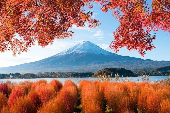 Mt Fuji Private Day Trip from Tokyo with English speaking driver - Final Thoughts